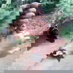 Seri Sriwang profile icon