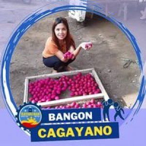 Georjan P. Dela Cruz profile icon