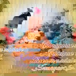 Nik Siti Zakiah profile icon