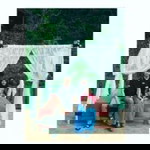 Ochi Rossyani profile icon