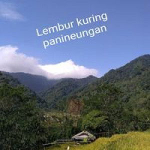 Yani Yulianti profile icon