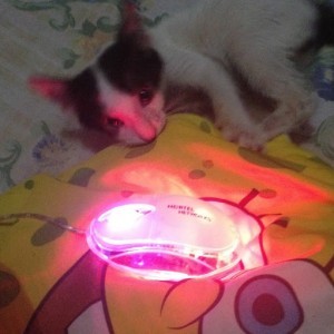 emem rosela profile icon