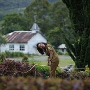 Ovilla Sartika Putri Sitepu profile icon