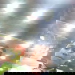 Rahmat Hidayat profile icon