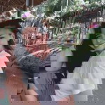 Punika Saengjan profile icon