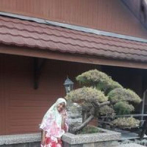 Susiarisona profile icon