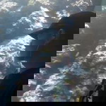 Yanuar Putra profile icon