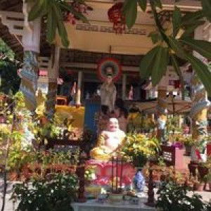 Diem Tran profile icon