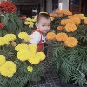 Lật Lại Kí Ức profile icon