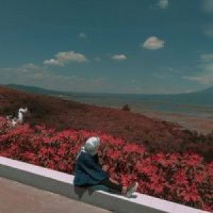 Pamela Amd profile icon