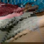 patricia tomas profile icon