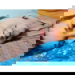 Okta Key profile icon