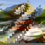 สหพัฒนรัฐ วงษ์สด profile icon