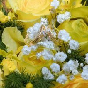 Ngochan Tran profile icon