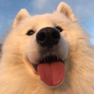 เมล์ profile icon