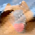 เมล์ profile icon