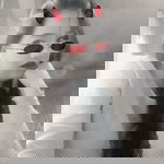 Jiamela Serraon profile icon