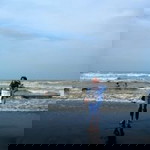 Chaniah profile icon