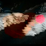 Baran f5z profile icon