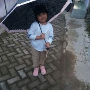 Vega Nirmala profile icon