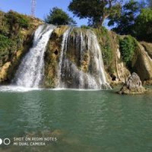 Amy Yenni Arista profile icon