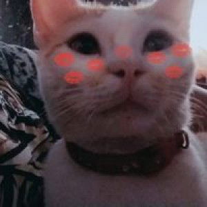 Jamie Santos Villafuerte profile icon