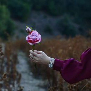 Cut Rachmah profile icon