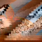 LilRoss Y. LilJade profile icon