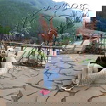 Elis Juliani profile icon