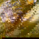 John Robert Acejo Ulang profile icon