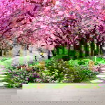 rofka wati profile icon