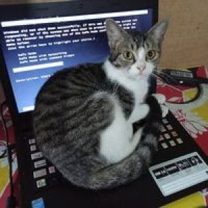 Hartati Dewi profile icon