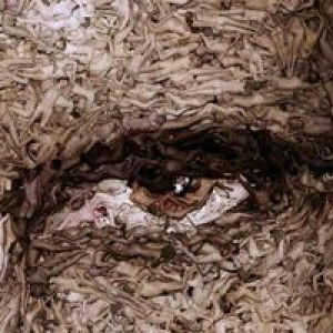 John Nigels Sapilan Sipe profile icon