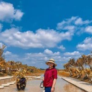 Hải Ly Nguyễn profile icon