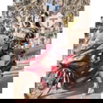 พะ' พาย profile icon