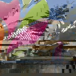 Lin Syifa profile icon