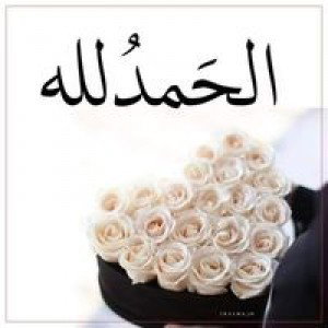 مصطفى عبدالوهاب حنة profile icon