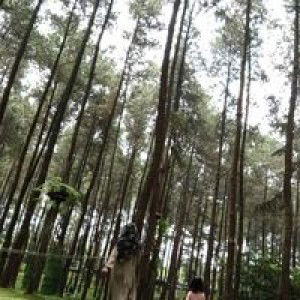 Maula Ahmad profile icon