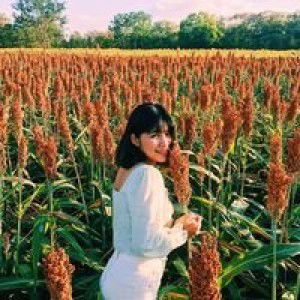 Paramaporn Atthayasai profile icon