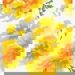 Sevy Ristalia Nabela profile icon