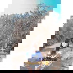 Chaniporn Srisuk profile icon