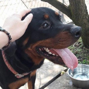 Helma Dewi profile icon