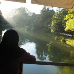 Tiafani Hutabarat profile icon