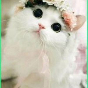 عتي نور حيت profile icon