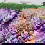 Arty Vanunya Rutavepol profile icon