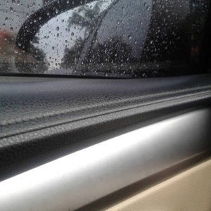 sallbyh profile icon