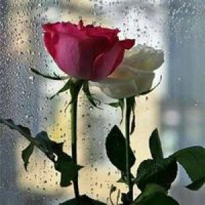 Yhenie Efrida profile icon