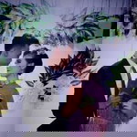 Fachriza'Ab profile icon