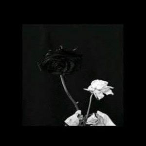 Anisa Adha profile icon