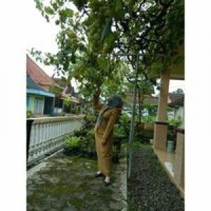 Aida AP profile icon